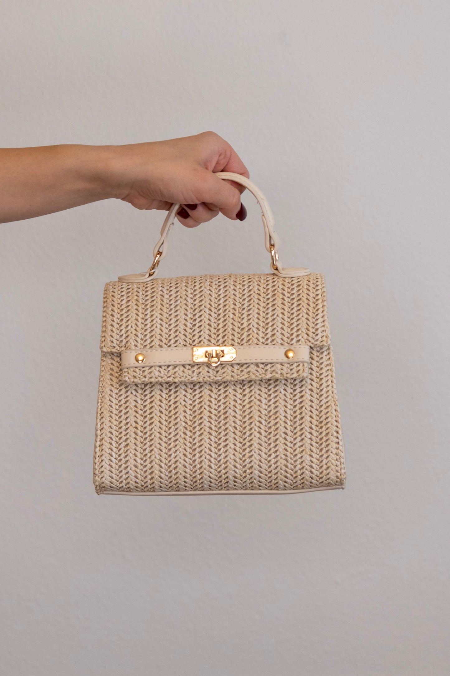 Petite Palm handbag